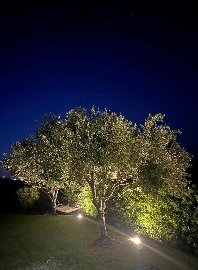 Villa Aurelia 圣特奥多罗 外观 照片